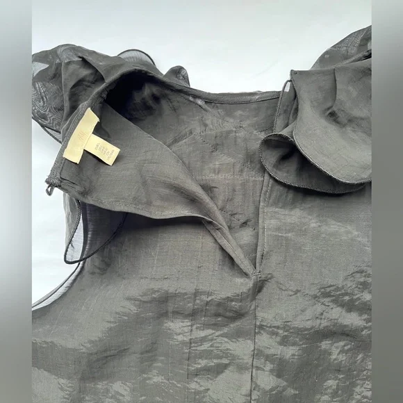 H&M | Sheer Ruffle Sleeveless Top - Picture 11 of 16